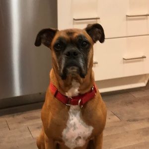 Meet your Posher, Kellie